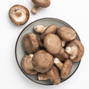 참나무배지 무농약 표고버섯 1kg 참나무로 키워 맛과 향이 일품
